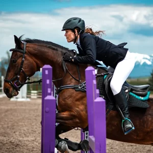 Equestrian Sports